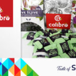Calibro