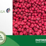 Frutorga