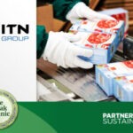 ITN Group